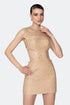 Stone Detailed Lace Mini Dress With Back Decollete