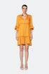 Cyrus3/4 Sleeve Mini Dress With Frill Detail