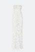 Buttercups Special Lace Dress