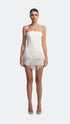 Hidden Lace Strapless Mini Dress