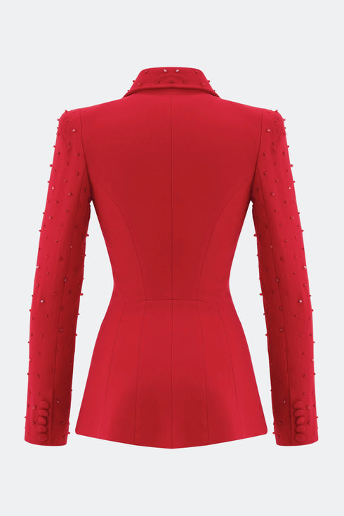 Beaded Sleeves And Neck, Double Breasted Jacket
