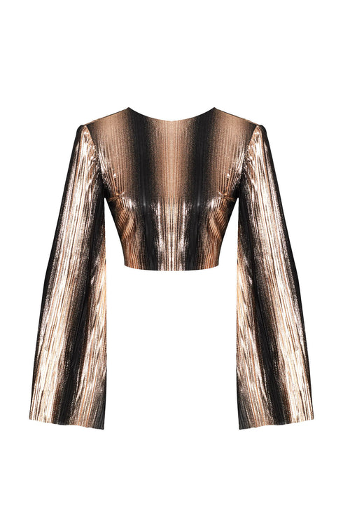 Sarin Bronz Crop Top