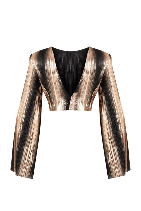 Sarin Bronz Crop Top