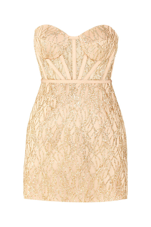 Mira Bra Form Nude Mini Dress