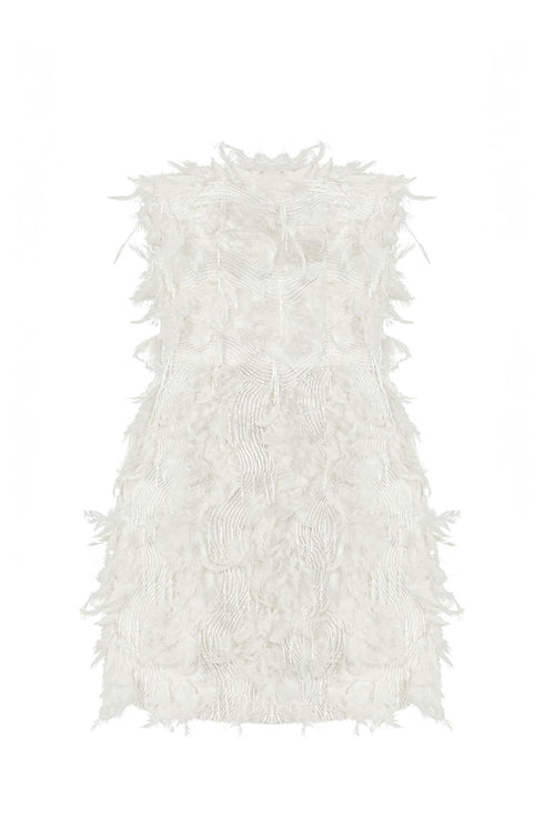 Rana Feathered Mini Dress