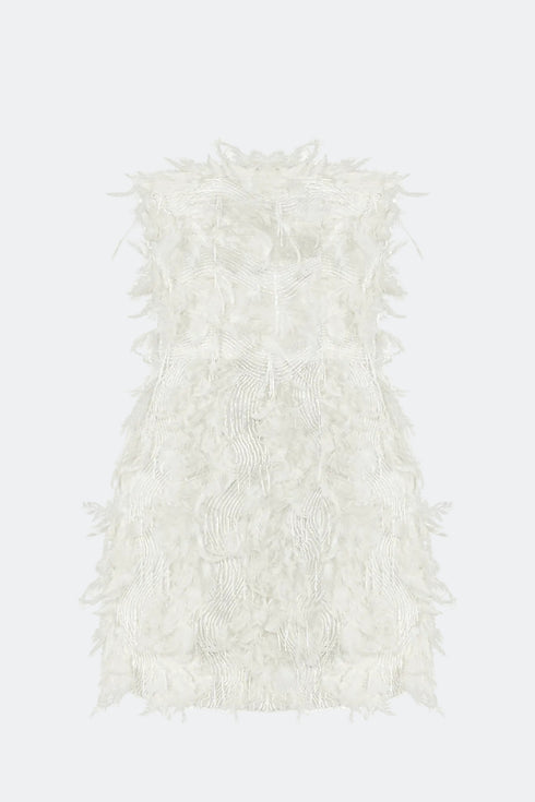 Rana Feathered Mini Dress