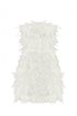 Rana Feathered Mini Dress