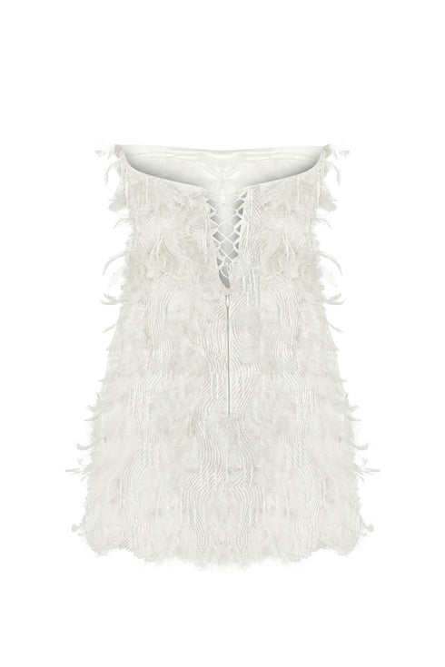 Rana Feathered Mini Dress