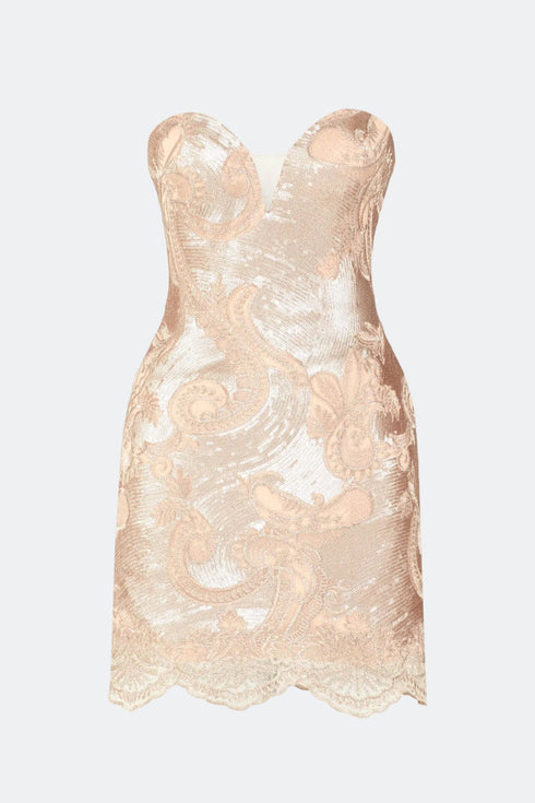 Chara Bronz Lace Mini Dress